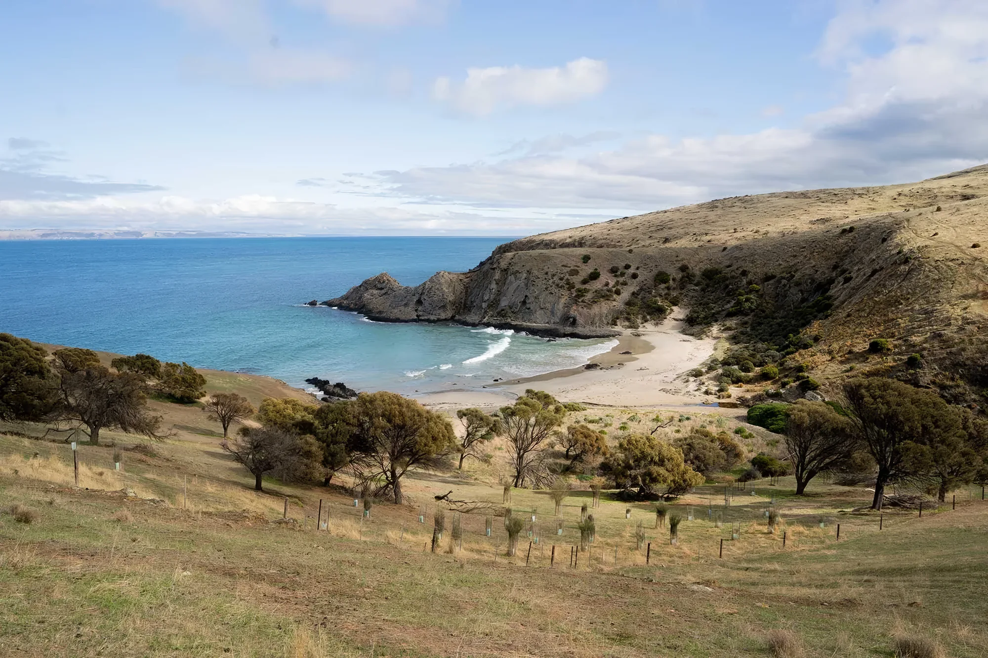 The beach and inlet seen from the hillside above