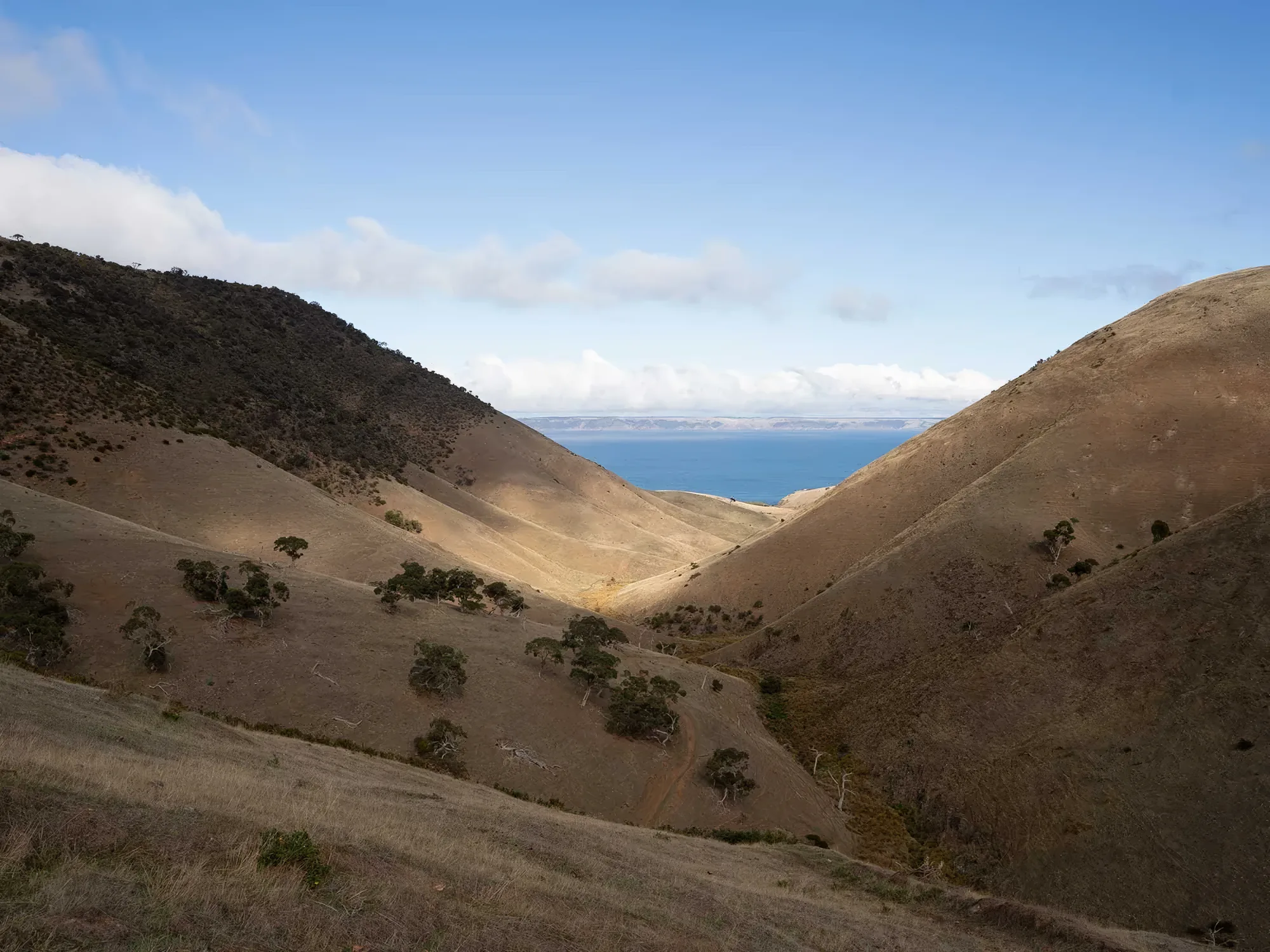 Sunburnt hills rolling down to the sea
