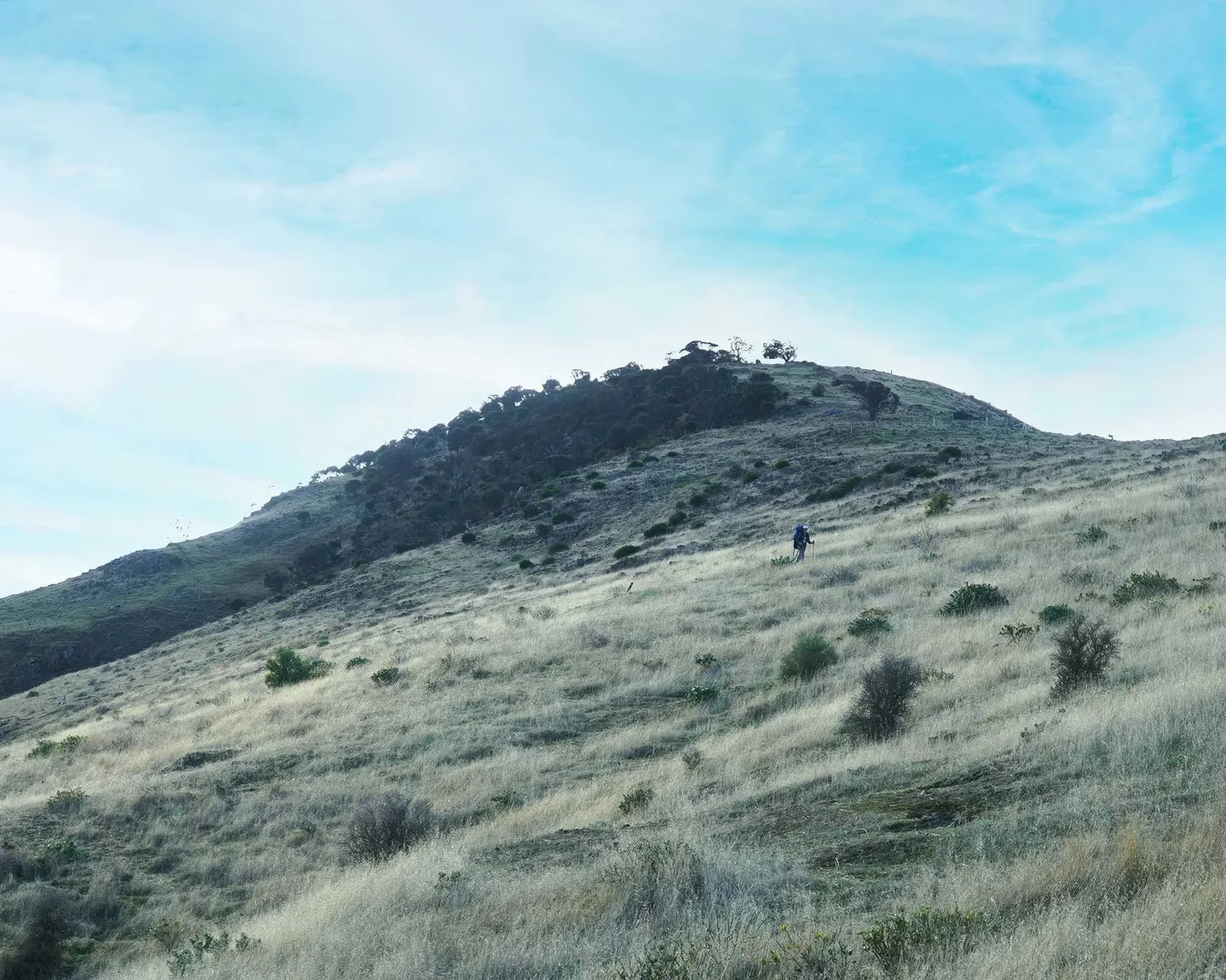 Green hills and scattered trees on the Rarkang property