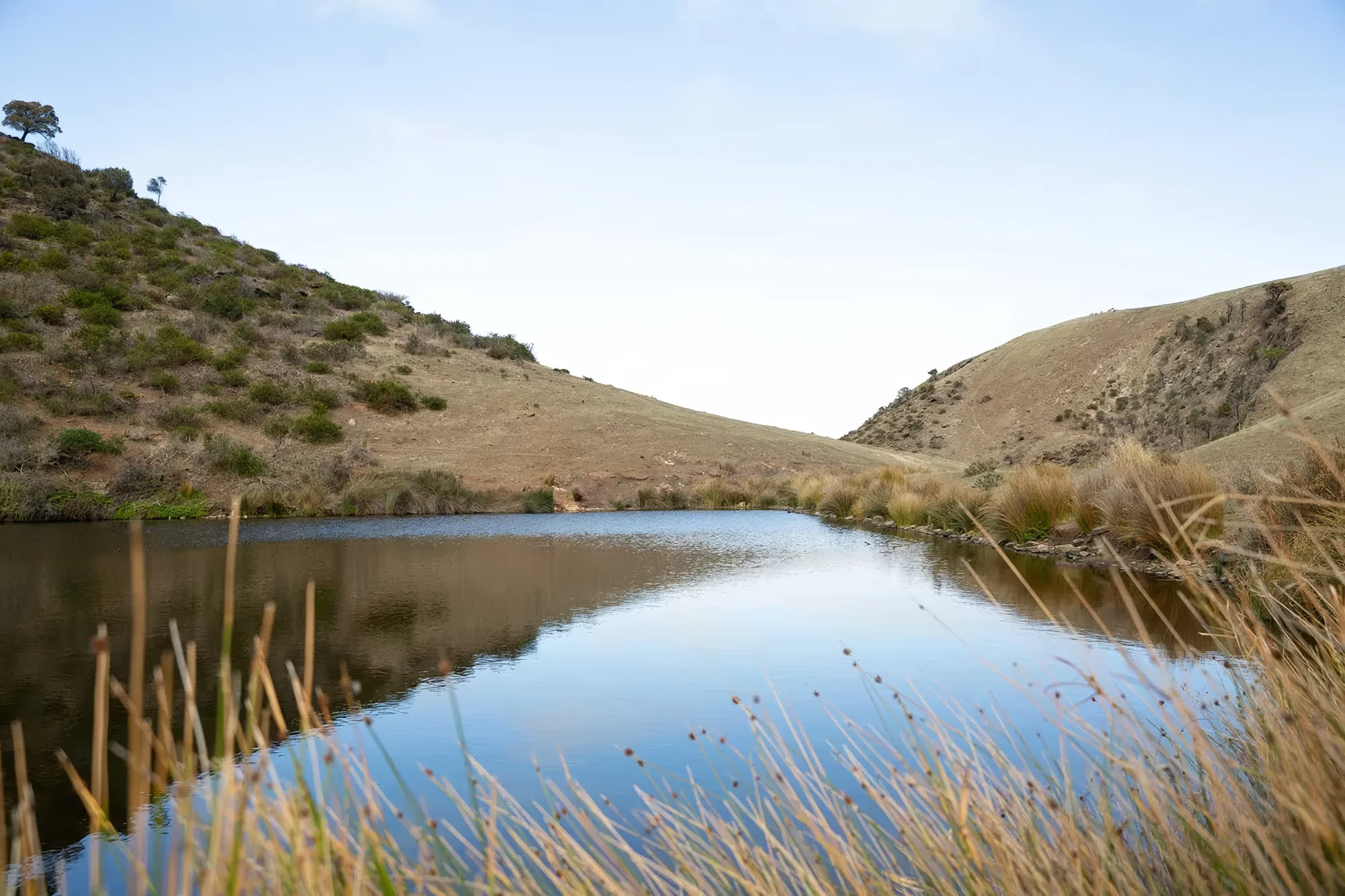 Still water and reeds on the Rarkang property