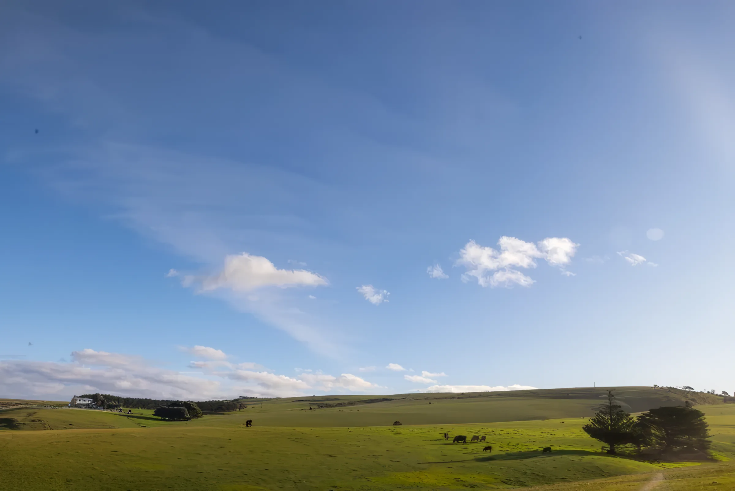 Farmland rolling down toward the coast at Encounter Bay